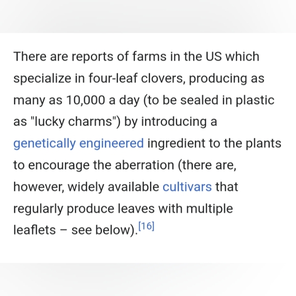 🍀 Real Wild Five 5 Leaf Clover Rare Luck REAL Found 4/26/23 in USA yard Lucky - Picture 16 of 17